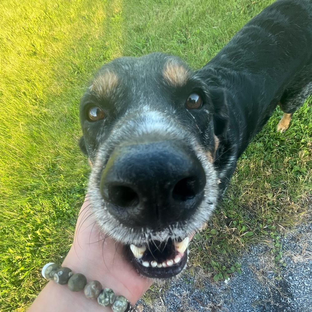 Meet your Posher, Nunu🪩🥁🥵